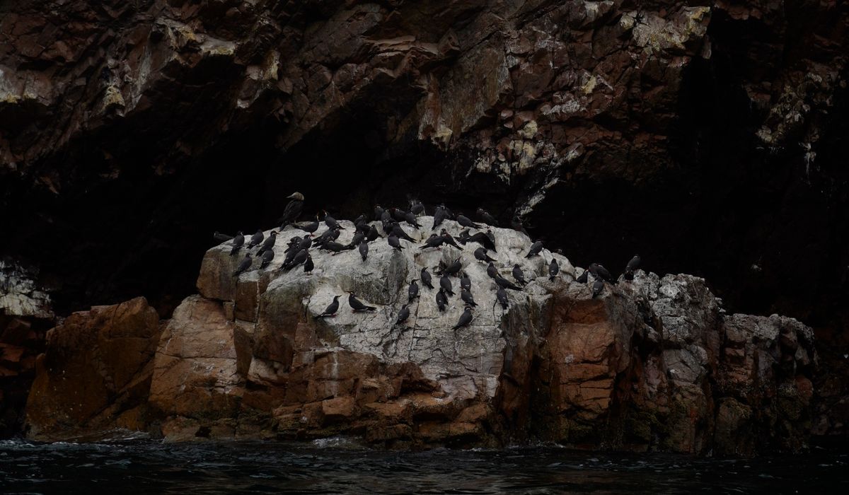A weekend guide to the Channel Islands
