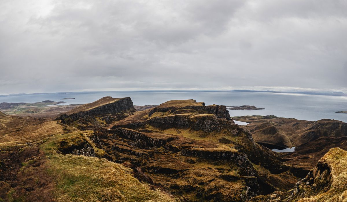 Spotting puffins and seabirds on cliff reserves