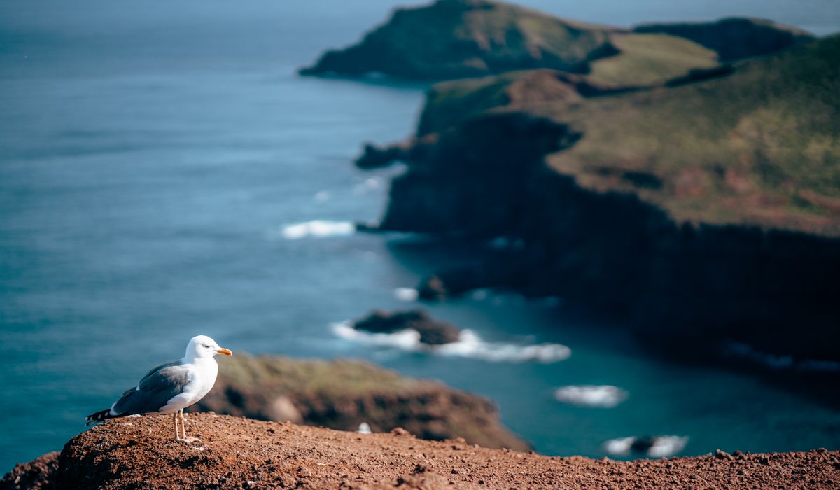 Understanding island weather forecasts before you travel